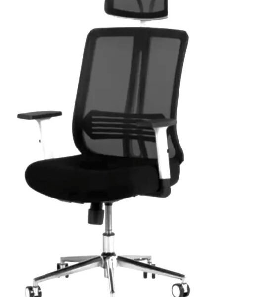 RK-1727 – High Back Mesh Executive Revolving Chair | Adjustable Headrest & Chrome Base